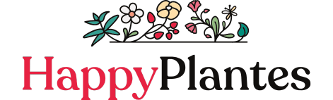Logo-happy-plantes-infusion