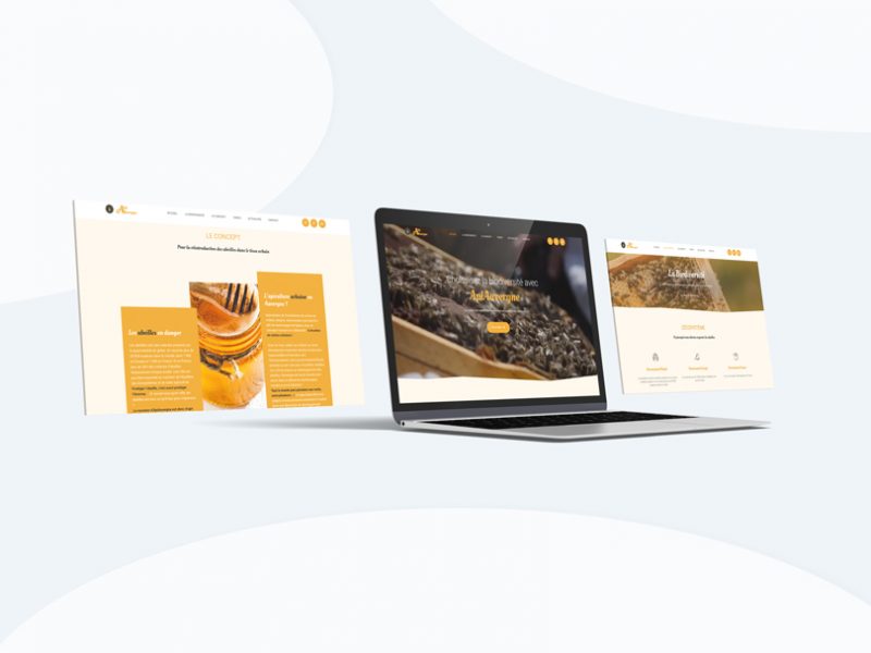 site vitrine api auvergne